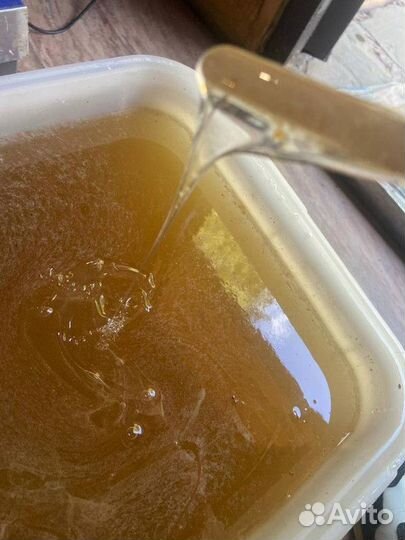 Мёд Цветочный оптом