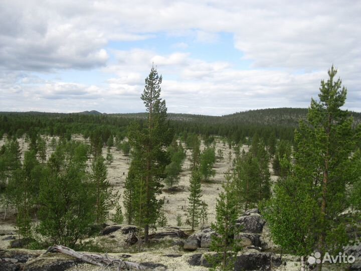 Заброска туристов по Ловозерскому району