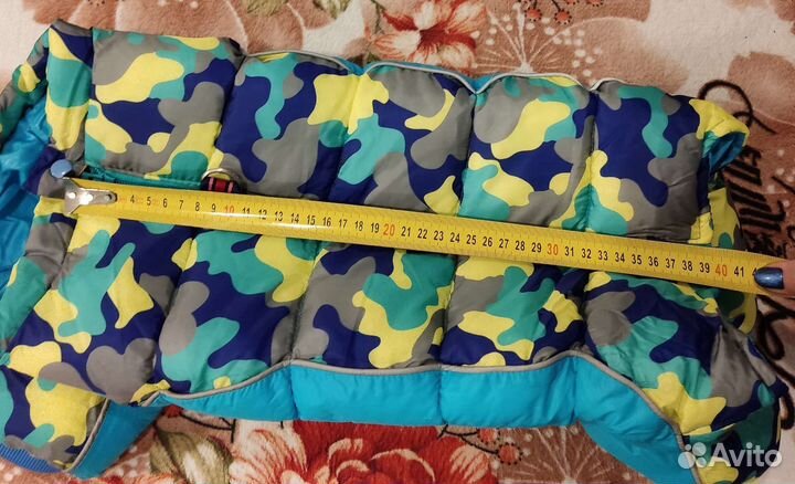 Одежда для собак