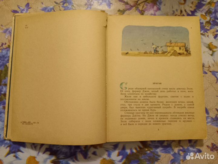 Волшебник изумрудного города.Волков