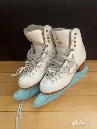 Коньки jackson elle