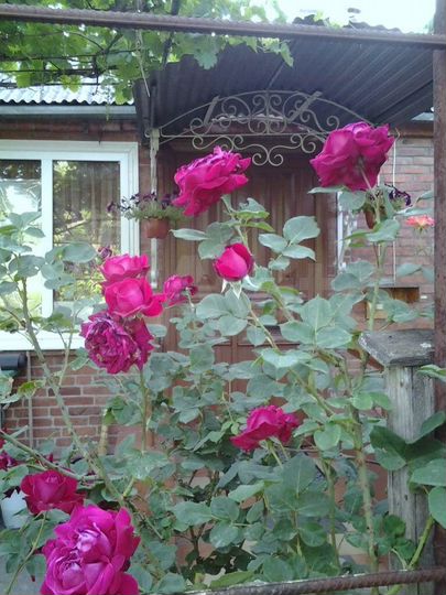 Комната 25 м², 1/1 эт.