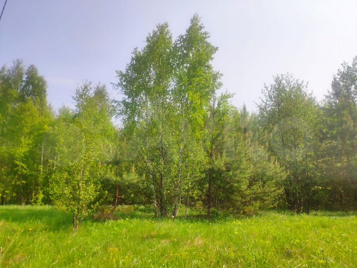 Участок 14,5 сот. (ИЖС)