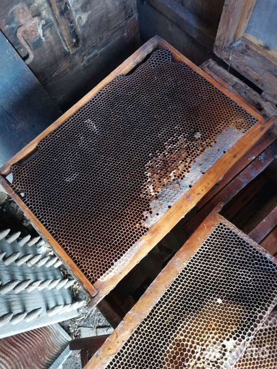 Рамки и ульи для пчел