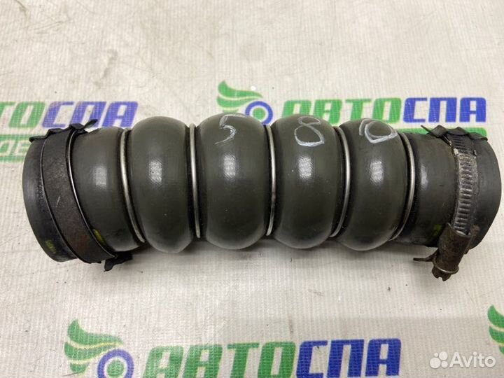 Патрубок интеркулера Ford C-Max DV6 2011