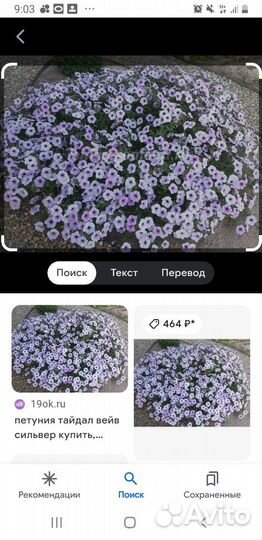 Tайдал Сильвер