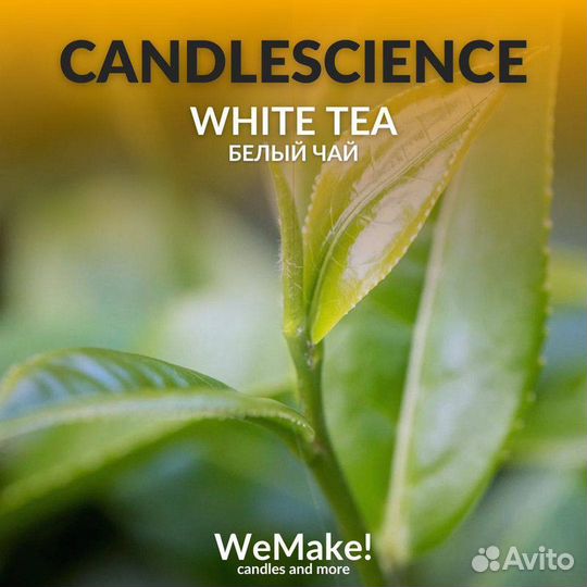 Отдушка CandleScience