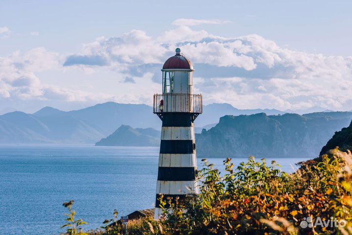 Праздники мероприятия