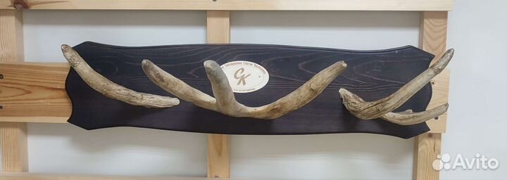 Вешалка из рога лося