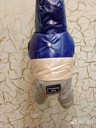 Вещи для маленьких собак