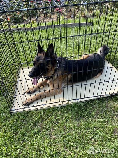 Вольер для собак