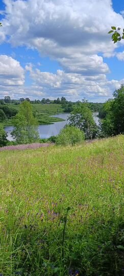 Участок 30 сот. (ИЖС)