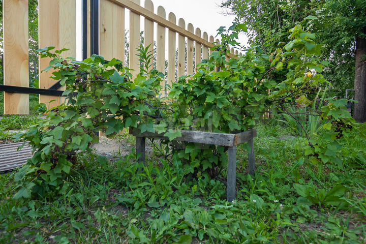 Дом 53,8 м² на участке 6,8 сот.