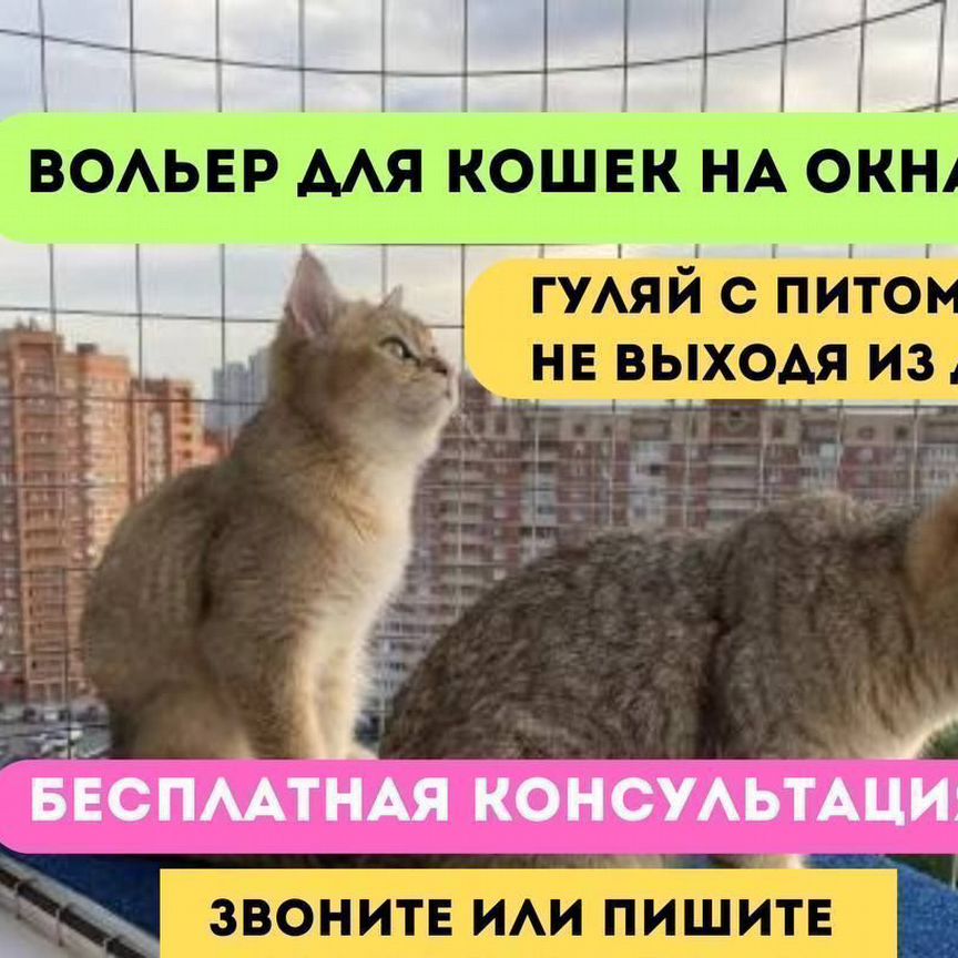 Балкон для кошек