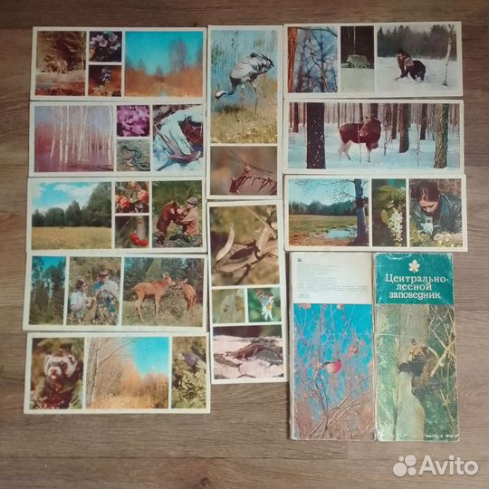 Набор цветных открыток