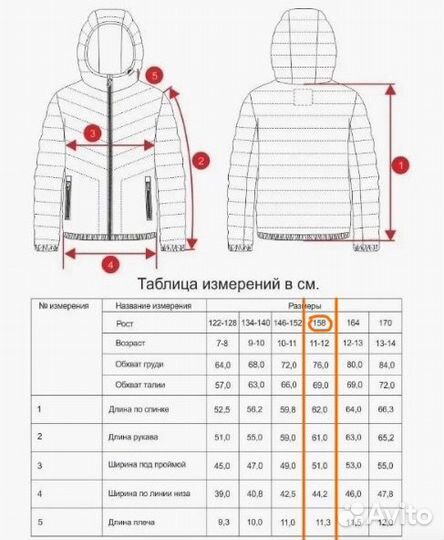 Куртка демисезонная на мальчика Orby (158 р.)