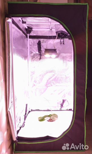 Гроутенты разных размеров