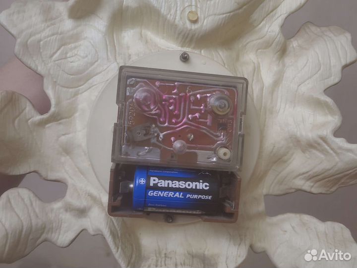 Продам рога оленя