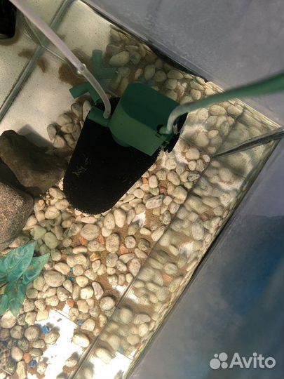 Аквариум террариум для черепахи