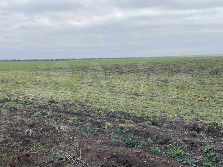 Участок 2,15 га (СНТ, ДНП)