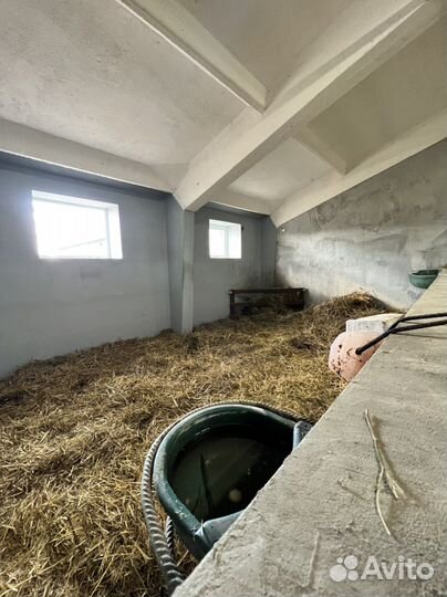 Постой для лошадей