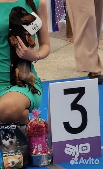 Крошечная девчушка