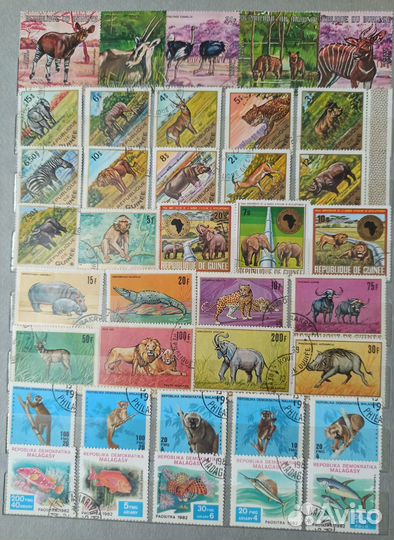 Почтовые марки Фауна