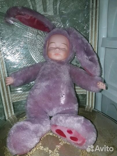 Спящий заяц