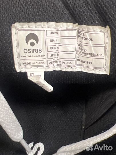 Osiris protocol оригинал dvs dc shoes globe circa