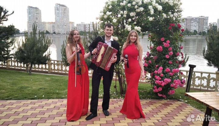 Кавер-группа Краснодар баян, скрипка, клавиши