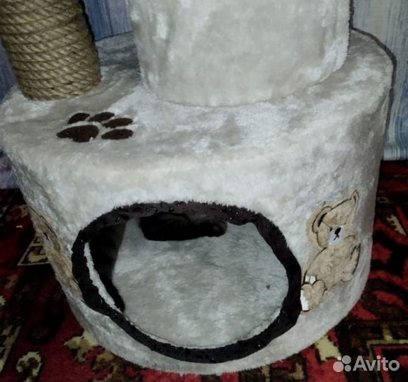 Комплекс для котят и не крупных кошек и котов