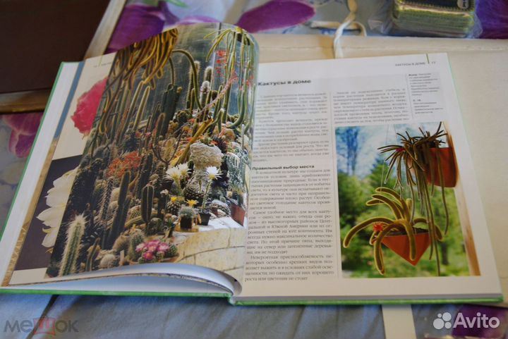 Манке.Кактусы,Горбачева.Бонсай,Украсим дом цветами