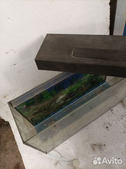 Аквариум