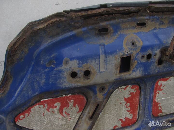 Капот Бид Флаер II BYD Flyer II