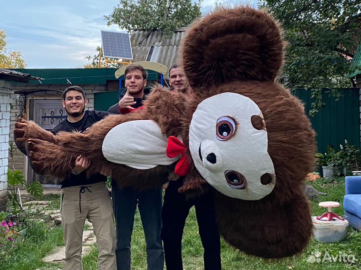 Чебурашка на день рождения и Мишка белая