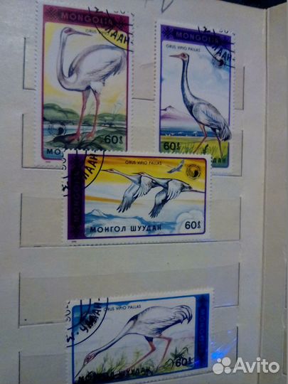 Марки - птицы монгол шуудан