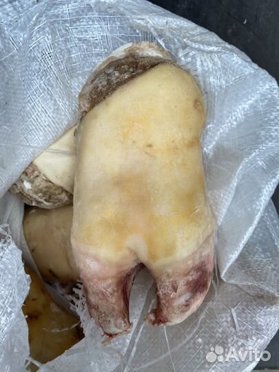 Ноги говяжьи