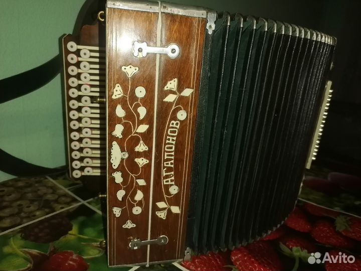 Гармонь нижегородская