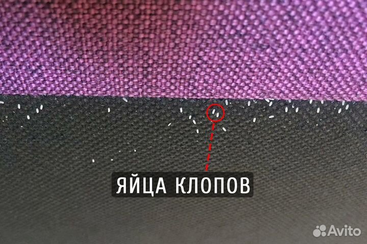 Уничтожение клопов травля тараканов дезинфекция