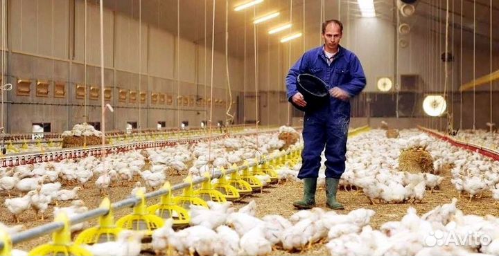 Птицеводы вахта автобус из Вашего города