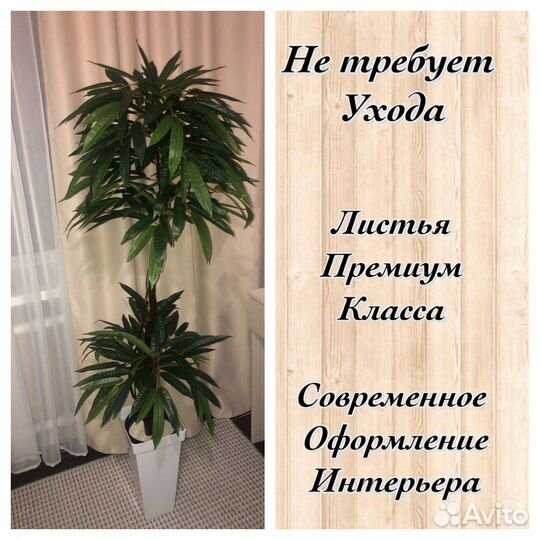 Искусственное дерево манго