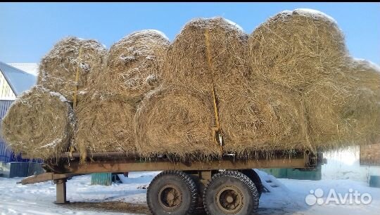 Сено, солома