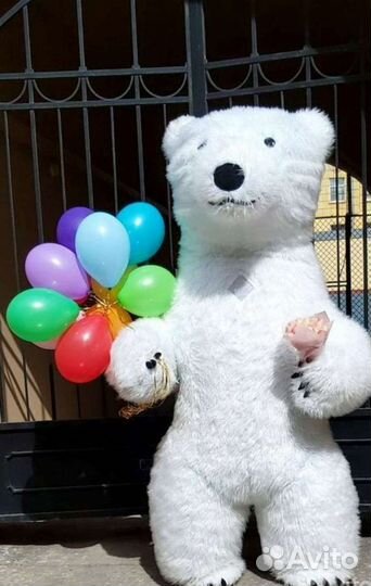 Гигантский мишка из тик- тока