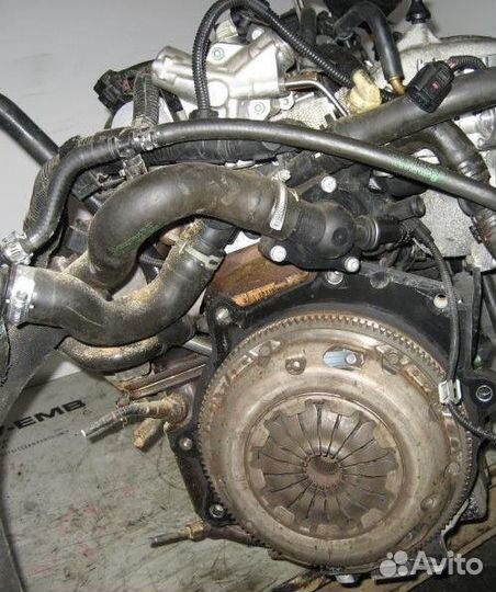 Двигатель Volkswagen Bora 2002 1.4 бензин BAD