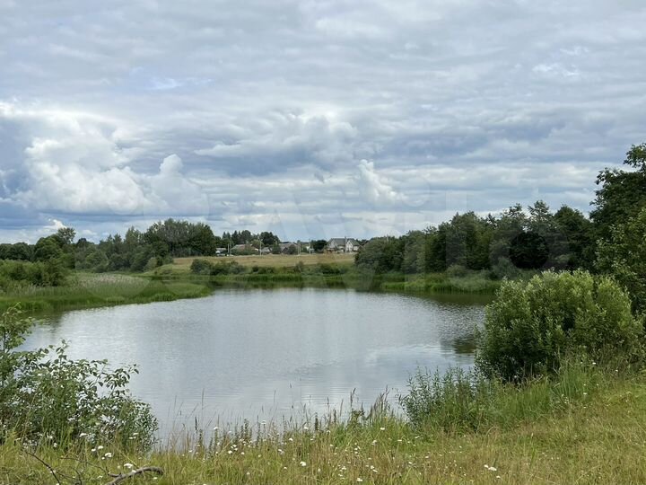 Участок 50 сот. (ИЖС)