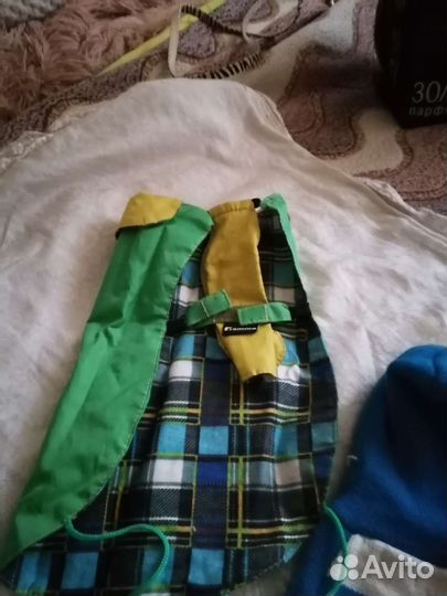 Одежда для маленьких собак xs