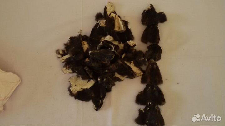 Куски меха новые-норка нутрия ягненок овчина