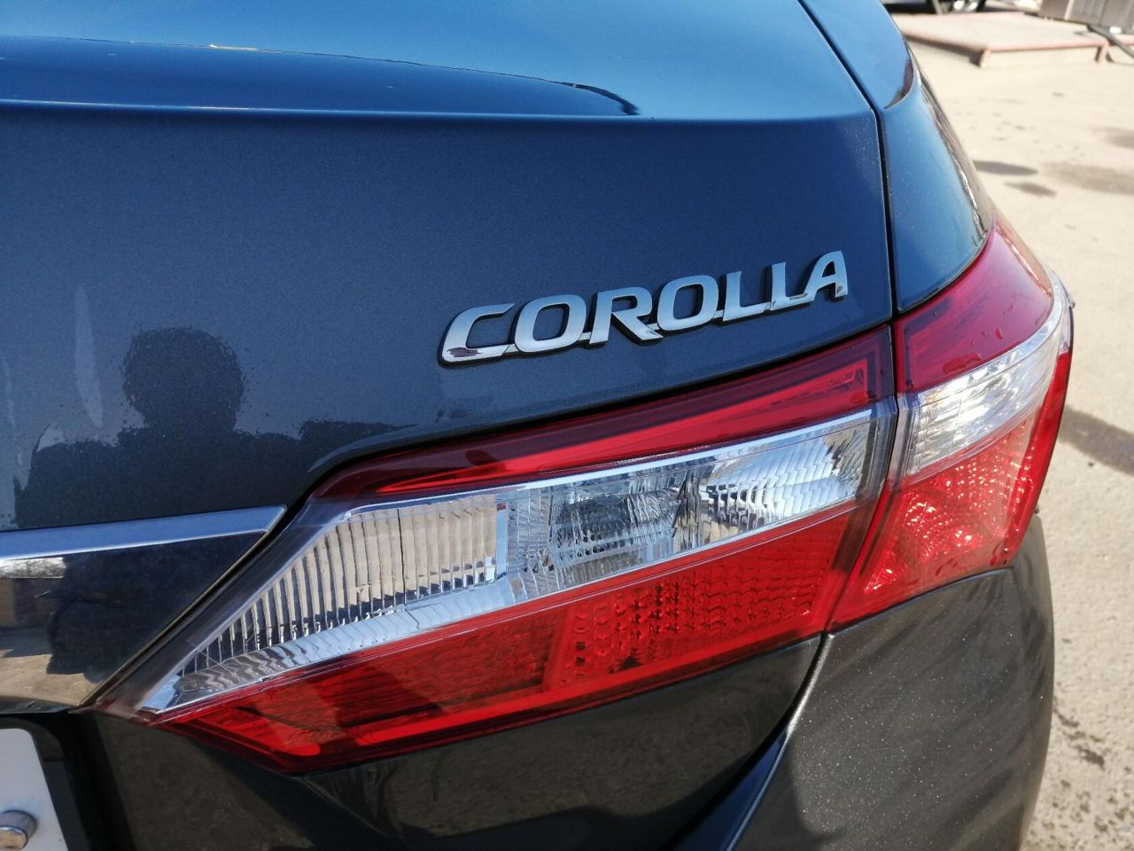 Toyota Corolla: фото владельца
