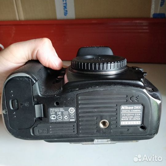 Nikon D800 body