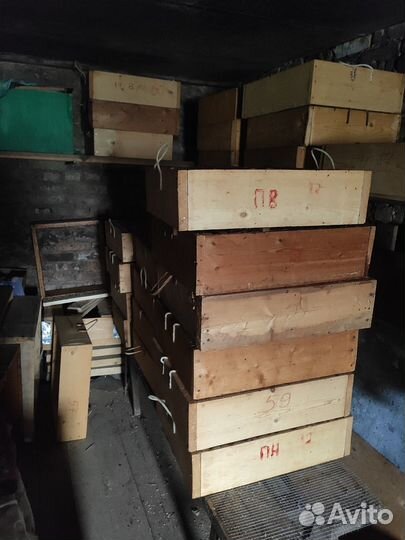 Продам пасеку, пчелы